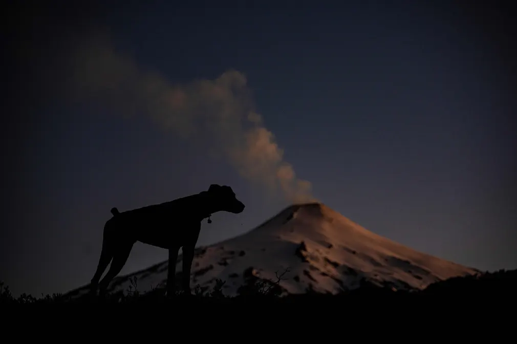 BOATEIC-CGCIBanner1699276675medialibraryoriginal1146403